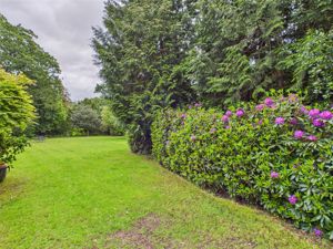 Photo 10- click for photo gallery